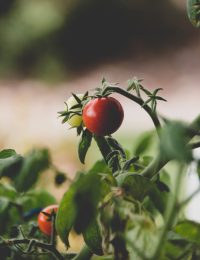 5f5567aac13ff6e650be4112_courtney-smith-ssF9lLDWB7c-unsplash